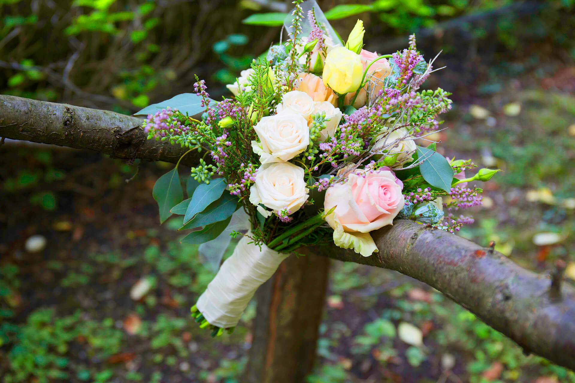 Hochzeit von Angelika & Andre